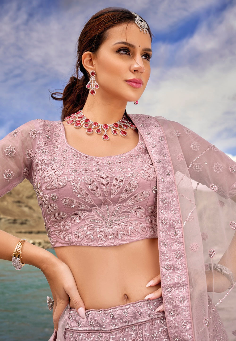 Organza Embroidered Lehenga in Pink