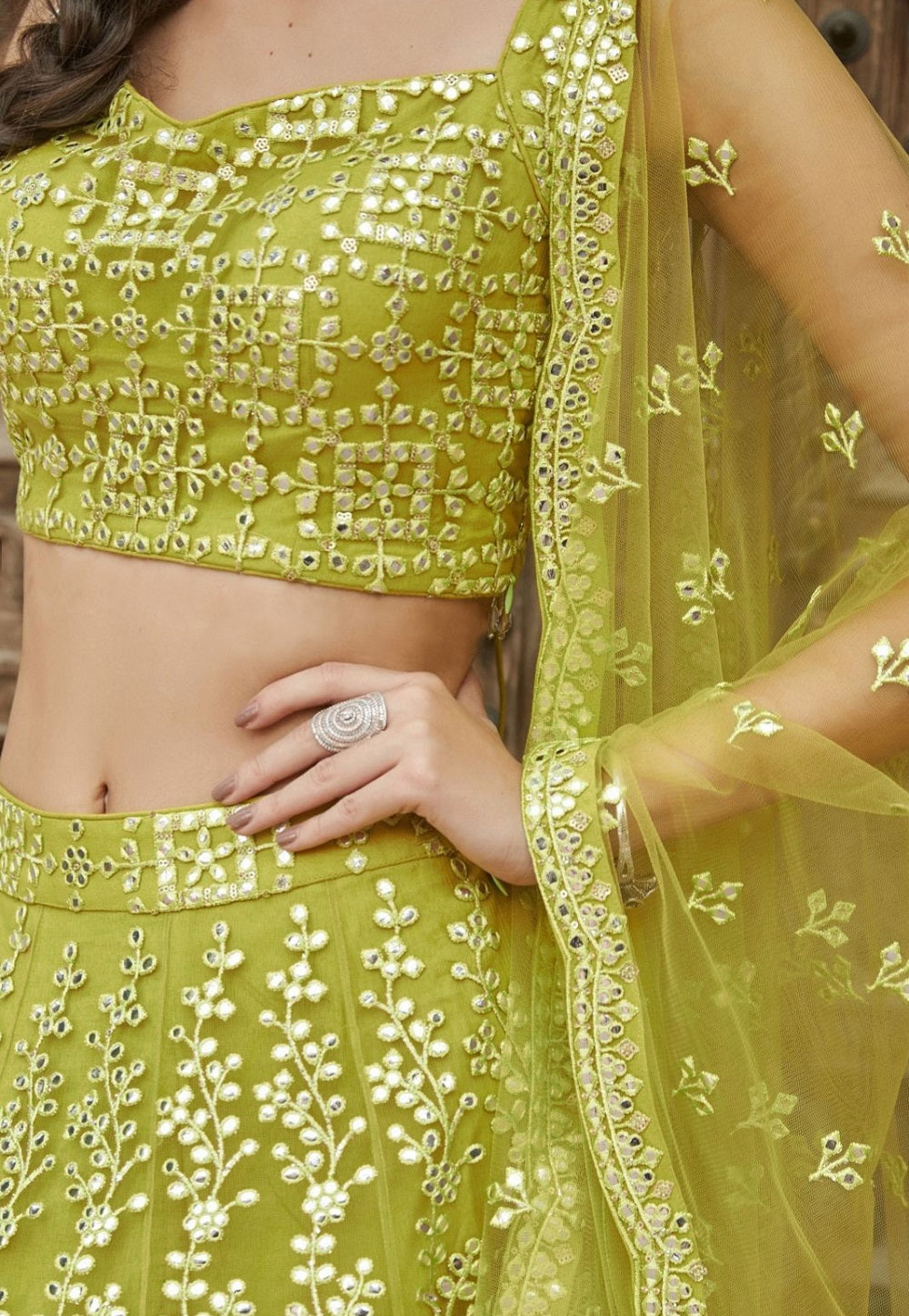 Embroidered Organza Lehenga in Olive Green