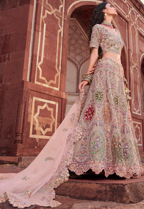 Embroidered Chiffon Tiered Lehenga in Light Pink