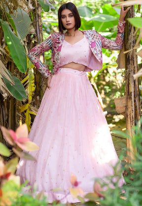 Organza Embroidered Lehenga in Light Pink