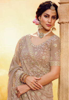 Embroidered Georgette Lehenga in Light Brown