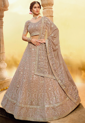 Embroidered Georgette Lehenga in Light Brown