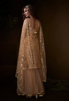 Net Embroidered Pakistani Suit in Beige