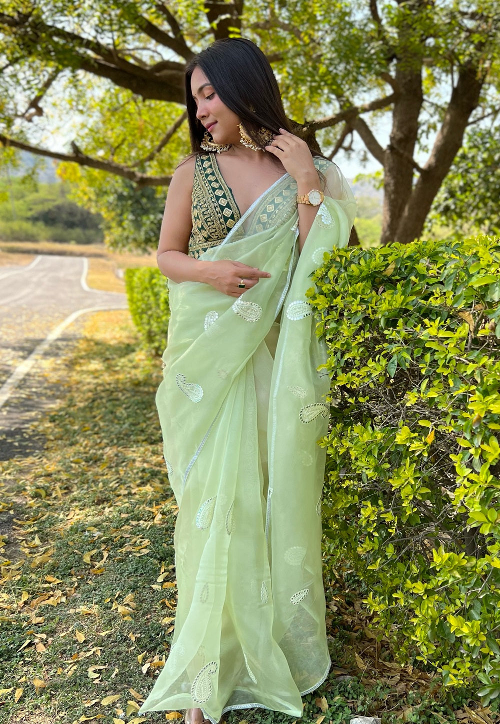Organza Embroidered Saree in Pastel Green