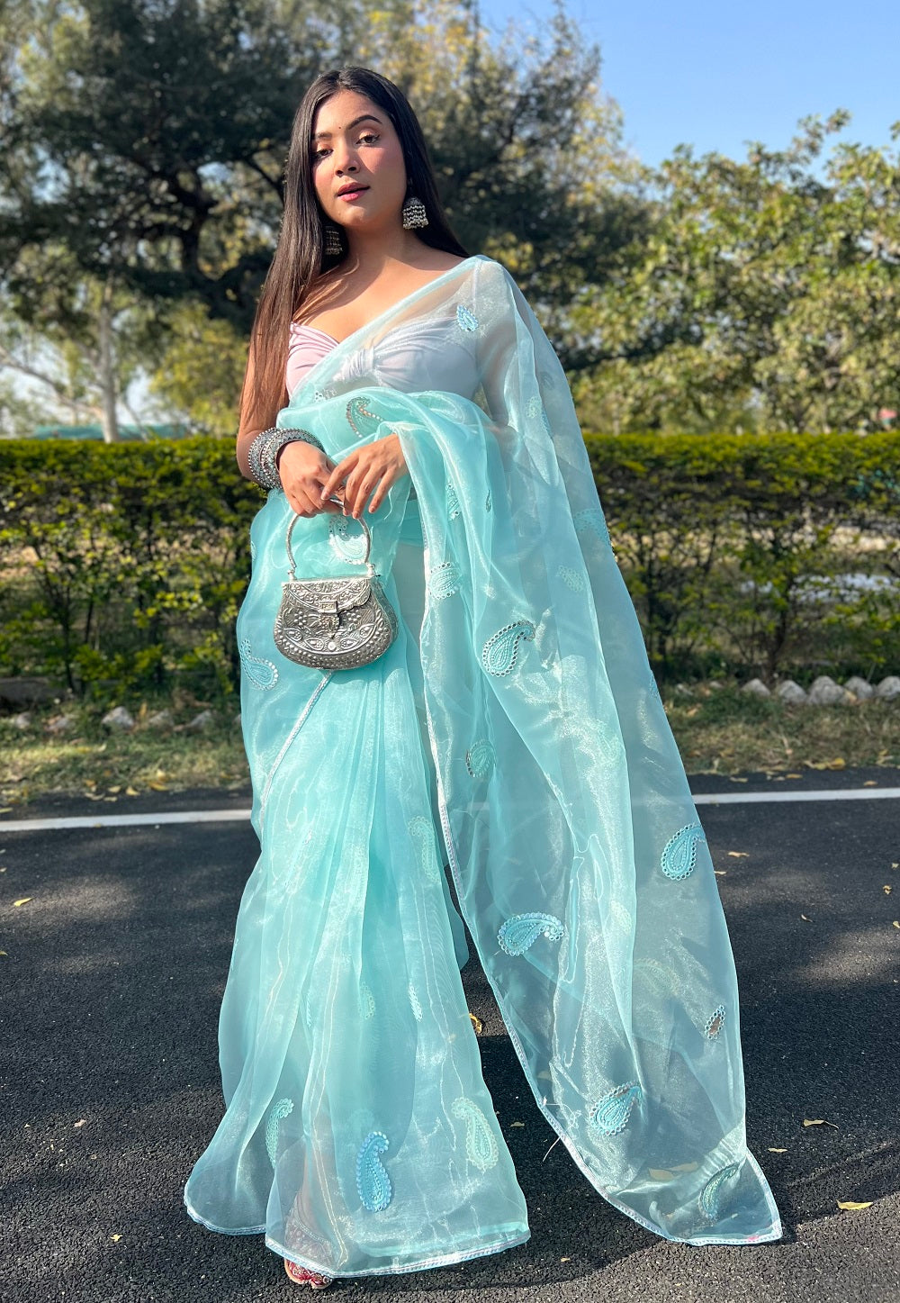 Organza Embroidered Saree in Sky Blue